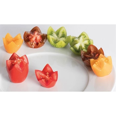 Coupe étoiles 5 Coupe étoiles – Image 3