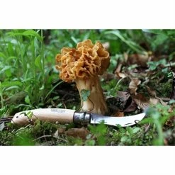 Opinel Couteau à Champignons Pliant N°8 Lame Inox 8 Cm -de Buyer Soldes Magasin 471156 2 3 Couteau a champignons pliant N 8 lame inox 8 cm Opinel