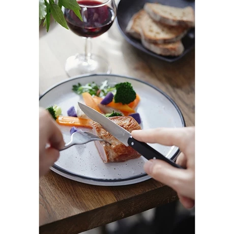 Opinel Couteau De Table N°125 Pro Noir 5 Opinel Couteau De Table N°125 Pro Noir – Image 3