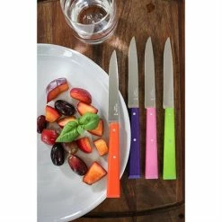 Opinel Coffret 4 Couteaux De Table Pop 10 Opinel Coffret 4 Couteaux De Table Pop -de Buyer Soldes Magasin 471245 3 3 Coffret 4 couteaux de table Pop Opinel