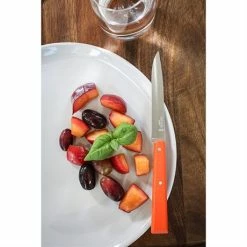 Opinel Coffret 4 Couteaux De Table Pop 11 Opinel Coffret 4 Couteaux De Table Pop -de Buyer Soldes Magasin 471245 4 3 Coffret 4 couteaux de table Pop Opinel