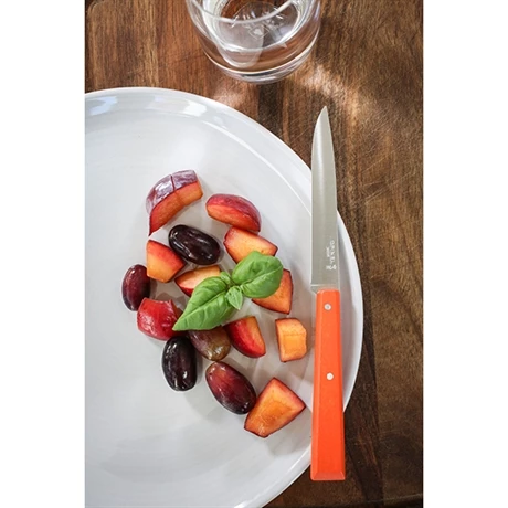 Opinel Coffret 4 Couteaux De Table Pop 7 Opinel Coffret 4 Couteaux De Table Pop – Image 5