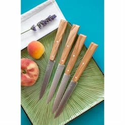 Opinel Coffret 4 Couteaux De Table Esprit Sud 11 Opinel Coffret 4 Couteaux De Table Esprit Sud -de Buyer Soldes Magasin 471247 4 2 Coffret 4 couteaux de table Esprit Sud Opinel