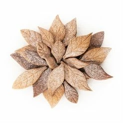 Silikomart Emporte-pièce Voila Cookie - Feuilles 24 X 15 Cm 9 Silikomart Emporte-pièce Voila Cookie - Feuilles 24 X 15 Cm -de Buyer Soldes Magasin 561004 2 2 Emporte piece Voila cookie Feuilles 24 x 15 cm Silikomart