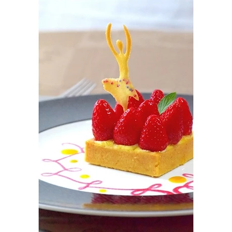 Kit Pochoir à Tuiles 5 Kit Pochoir à Tuiles – Image 3