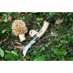 Set Brosse à Champignons Et Couteau à Champignons Pliant N°8 -de Buyer Soldes Magasin 609165 1 1 Set brosse a champignons et couteau a champignons pliant N 8