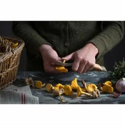 Set Brosse à Champignons Et Couteau à Champignons Pliant N°8 -de Buyer Soldes Magasin 609165 2 1 Set brosse a champignons et couteau a champignons pliant N 8