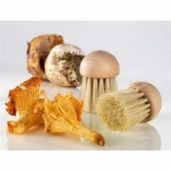 Set Brosse à Champignons Et Couteau à Champignons Pliant N°8 -de Buyer Soldes Magasin 609165 3 1 Set brosse a champignons et couteau a champignons pliant N 8