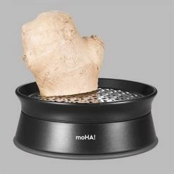 Râpe à Gingembre Ginger