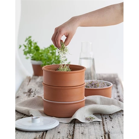 Germoir à 3 étages En Terre Cuite 4 Germoir à 3 étages En Terre Cuite – Image 2