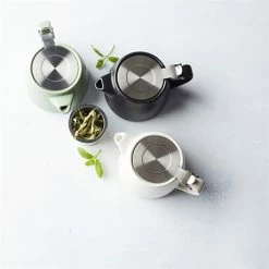 Théière Avec Infuseur Vert Sauge 500ml -de Buyer Soldes Magasin 880078 2 1 Theiere avec infuseur Vert sauge 500ml Point Virgule